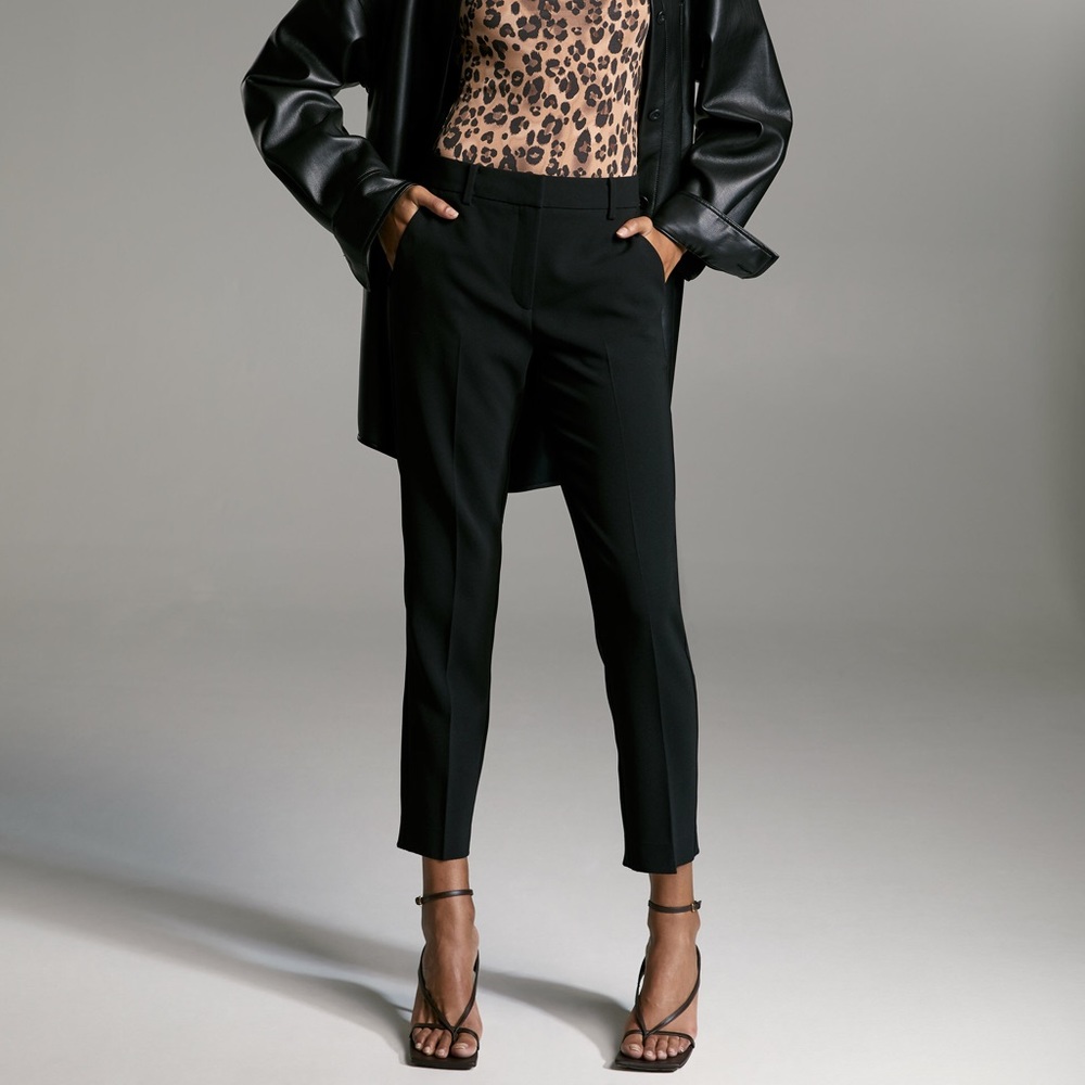 Babaton Aritzia pants